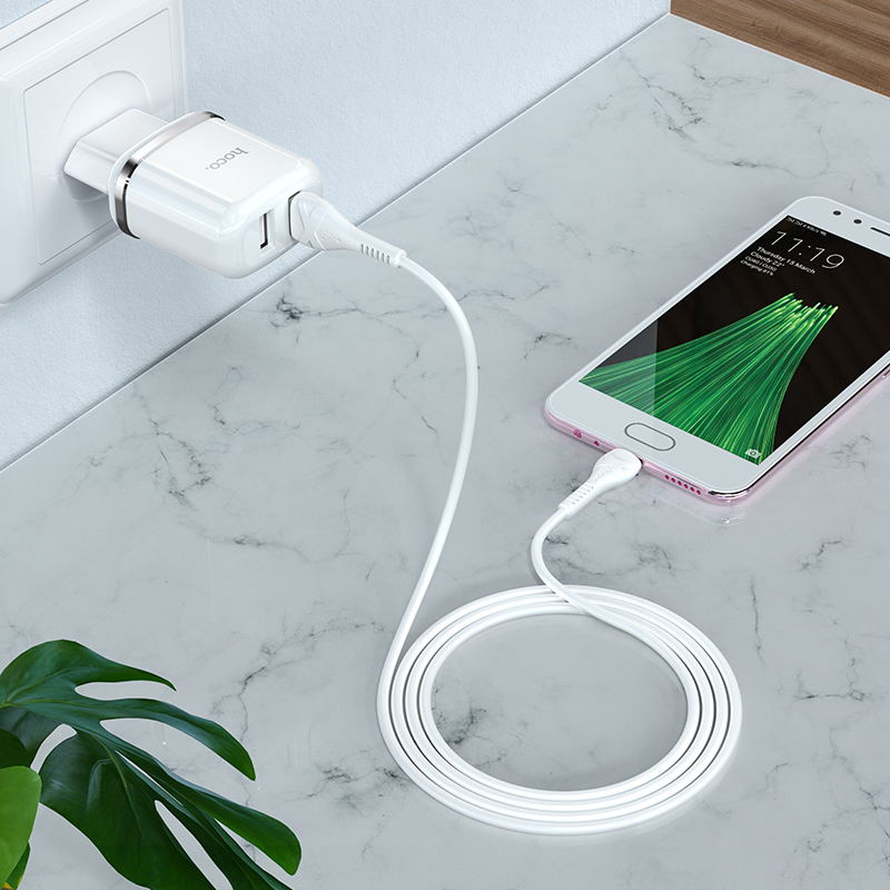 Адаптер питания Hoco N4 Aspiring dual port charger с кабелем MicroUSB (2USB: 5V max 2.4A) Белый