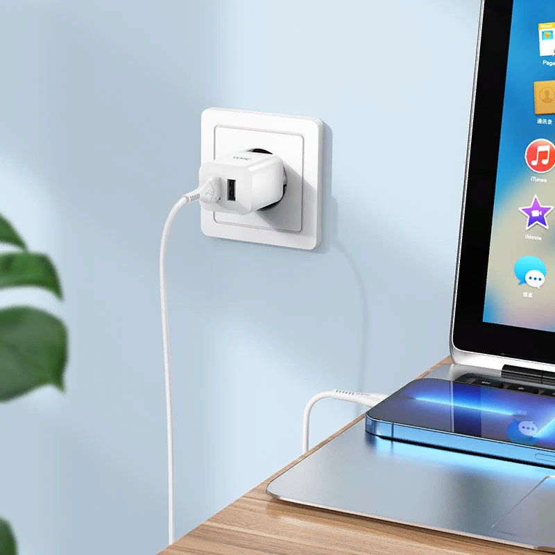 Адаптер питания Hoco N25 Maker dual port fast charger c кабелем Lightning (2USB: 5V max 2.1A) Белый