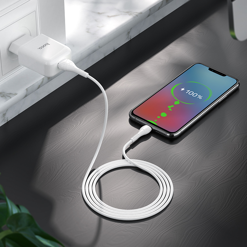 Адаптер питания Hoco N2 Vigour single port charger с кабелем MicroUSB (USB: 5V max 2.1A) Белый