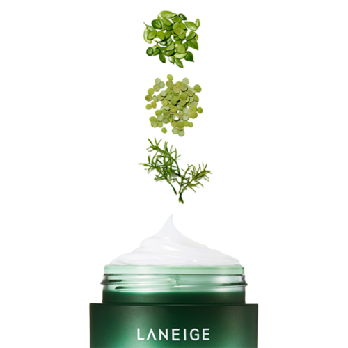 Laneige Маска ночная для лица - Cica sleeping mask green, 10мл