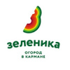 Зеленика